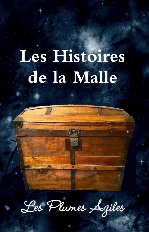 LES HISTOIRES DE LA MALLE : Dernier recueil de nouvelles réalisé par l’Atelier d’Écriture de la CMCAS d’Angoulême
